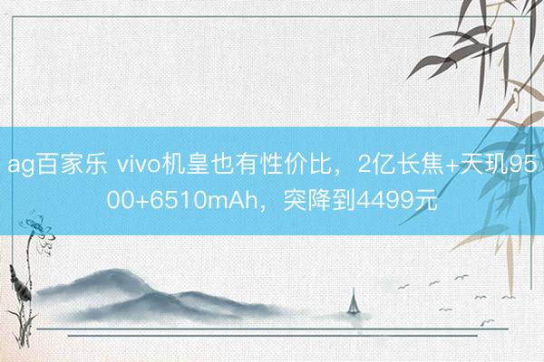 ag百家乐 vivo机皇也有性价比，2亿长焦+天玑9500+6510mAh，突降到4499元