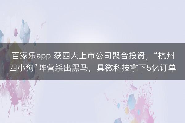 百家乐app 获四大上市公司聚合投资,“杭州四小狗”阵营杀出黑马,具微科技拿下5亿订单