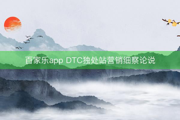 百家乐app DTC独处站营销细察论说