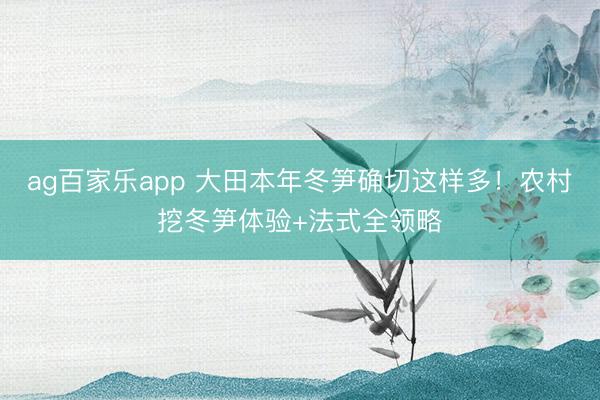 ag百家乐app 大田本年冬笋确切这样多！农村挖冬笋体验+法式全领略