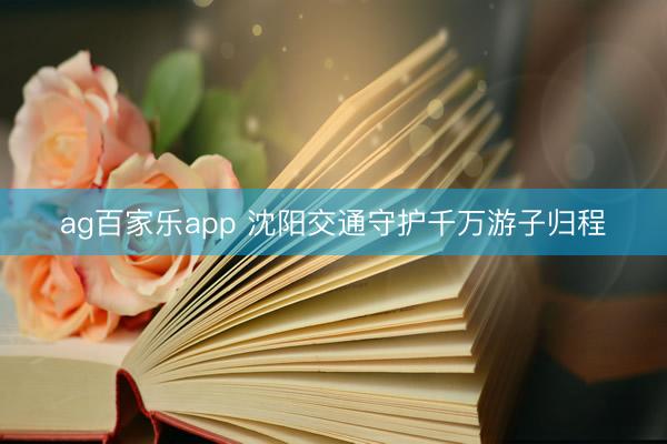 ag百家乐app 沈阳交通守护千万游子归程