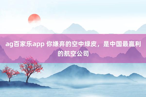 ag百家乐app 你嫌弃的空中绿皮，是中国最赢利的航空公司