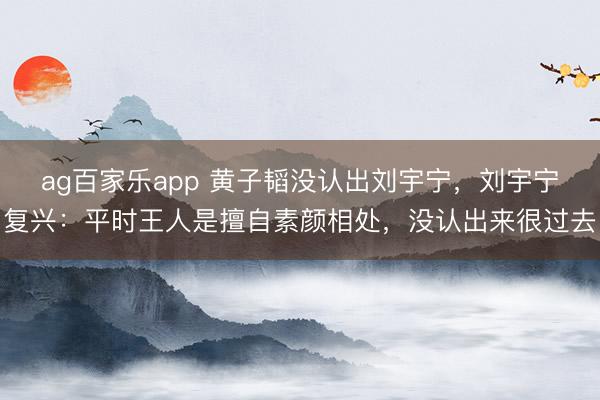 ag百家乐app 黄子韬没认出刘宇宁，刘宇宁复兴：平时王人是擅自素颜相处，没认出来很过去