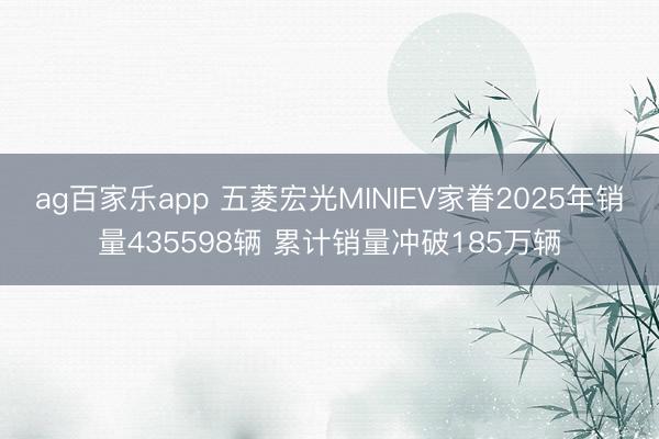 ag百家乐app 五菱宏光MINIEV家眷2025年销量435598辆 累计销量冲破185万辆
