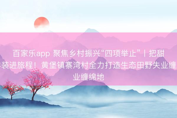 百家乐app 聚焦乡村振兴“四项举止”丨把甜与鲜装进旅程！黄堡镇寨湾村全力打造生态田野失业缠绵地