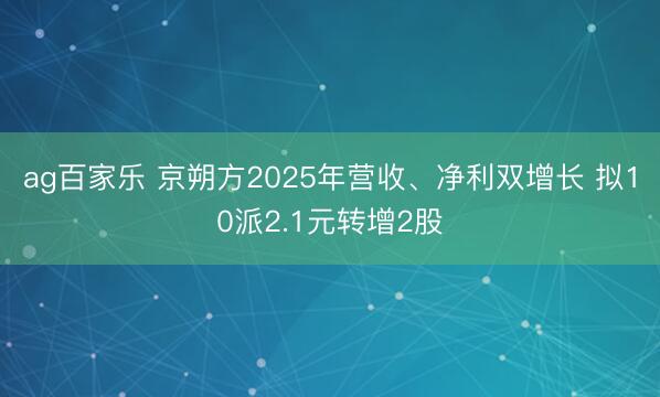 ag百家乐 京朔方2025年营收、净利双增长 拟10派2.1元转增2股