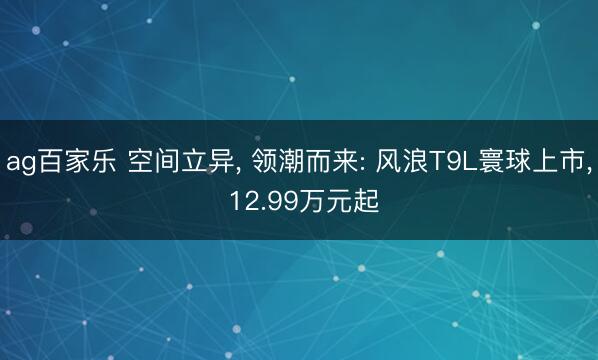 ag百家乐 空间立异， 领潮而来: 风浪T9L寰球上市， 12.99万元起