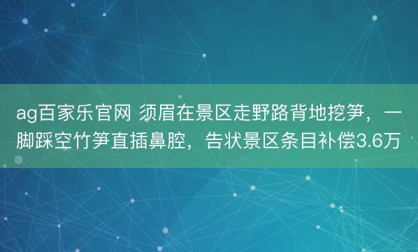 ag百家乐官网 须眉在景区走野路背地挖笋，一脚踩空竹笋直插鼻腔，告状景区条目补偿3.6万