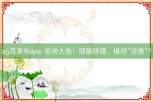 ag百家乐app 板块大涨！磷酸铁锂，缘何“逆袭”？