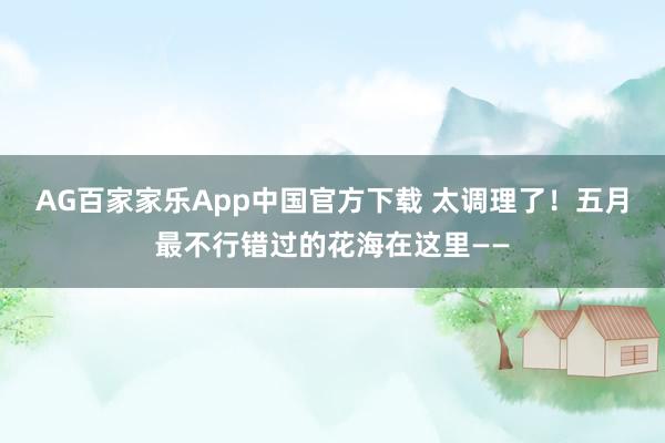 AG百家家乐App中国官方下载 太调理了!五月最不行错过的花海在这里——