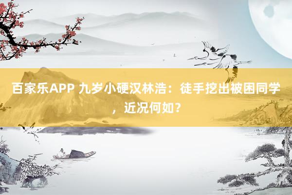 百家乐APP 九岁小硬汉林浩:徒手挖出被困同学,近况何如?