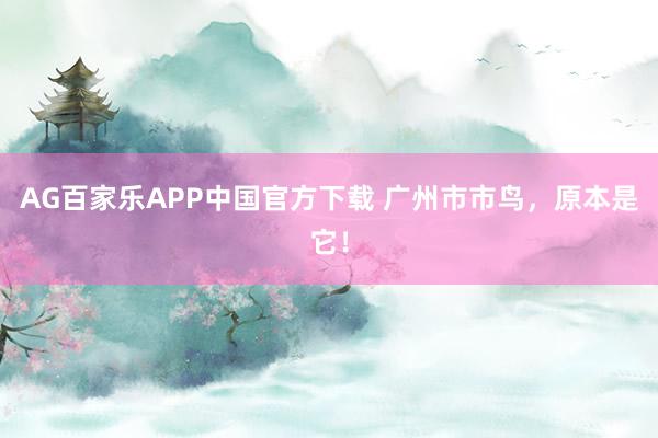 AG百家乐APP中国官方下载 广州市市鸟,原本是它!