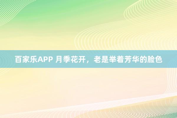 百家乐APP 月季花开，老是举着芳华的脸色