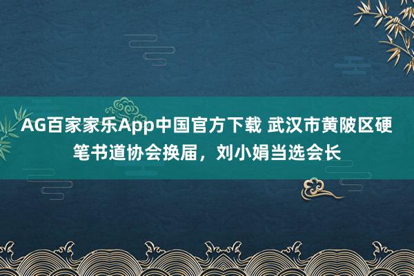 AG百家家乐App中国官方下载 武汉市黄陂区硬笔书道协会换届,刘小娟当选会长