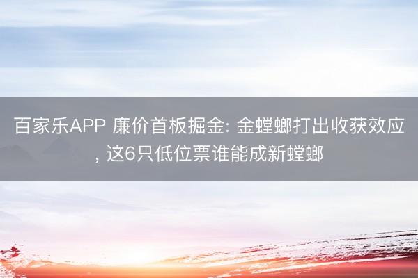 百家乐APP 廉价首板掘金: 金螳螂打出收获效应， 这6只低位票谁能成新螳螂